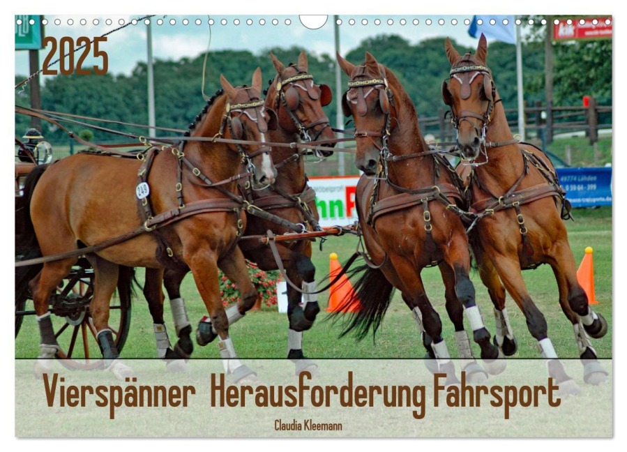 Vierspänner Herausforderung Fahrsport (Wandkalender 2025 DIN A3 quer), CALVENDO Monatskalender - Claudia Kleemann