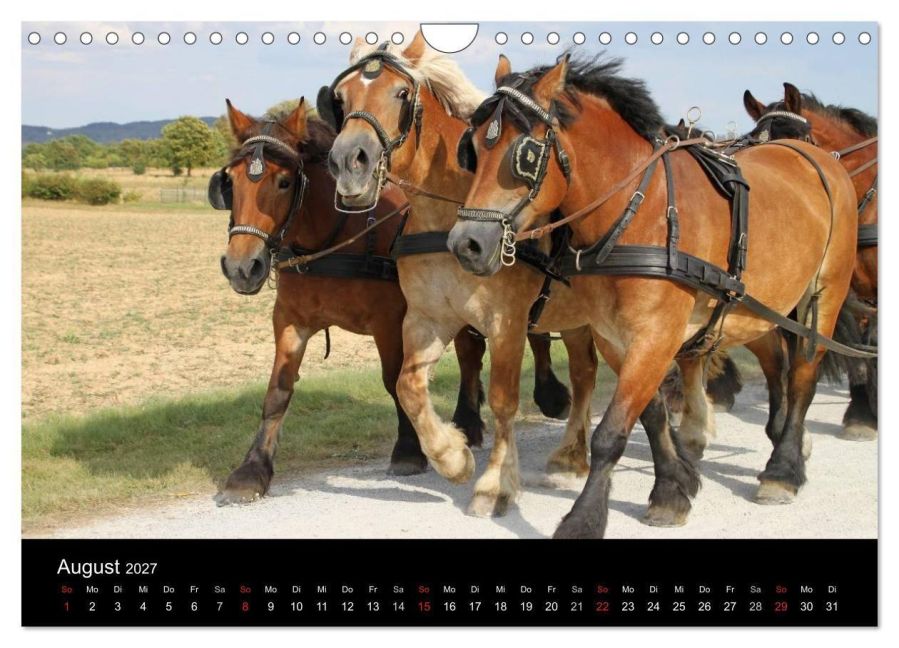 InsideView 13
