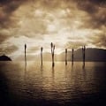 Cover-Bild zum Titel 'Here Comes The Sun' von 'Klone'