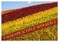 Farbenprächtige Weinberge (Wandkalender 2025 DIN A4 quer), CALVENDO Monatskalender - Monika Scheurer