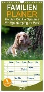 Familienplaner 2025 - English Cocker Spaniels - Ein Spaziergang im Park mit 5 Spalten (Wandkalender, 21 x 45 cm) CALVENDO - Fotodesign Verena Scholze