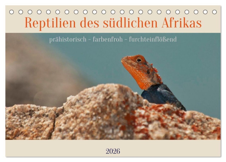 Reptilien des südlichen Afrikas (Tischkalender 2026 DIN A5 quer), CALVENDO Monatskalender - Heiko Wolf