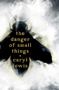 Cover-Bild zum Titel 'The Danger of Small Things' von 'Caryl Lewis'