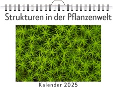 Cover-Bild zum Titel 'Strukturen in der Pflanzenwelt' von 'Henry Fischer'