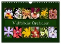 Vielfalt der Orchideen (Wandkalender 2024 DIN A4 quer), CALVENDO Monatskalender - Eerika Schulz