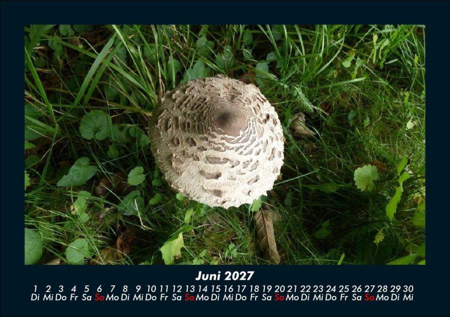 InsideView 10