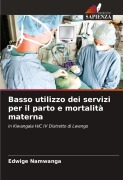 Cover-Bild zum Titel 'Basso utilizzo dei servizi per il parto e mortalità materna' von 'Edwige Namwanga'