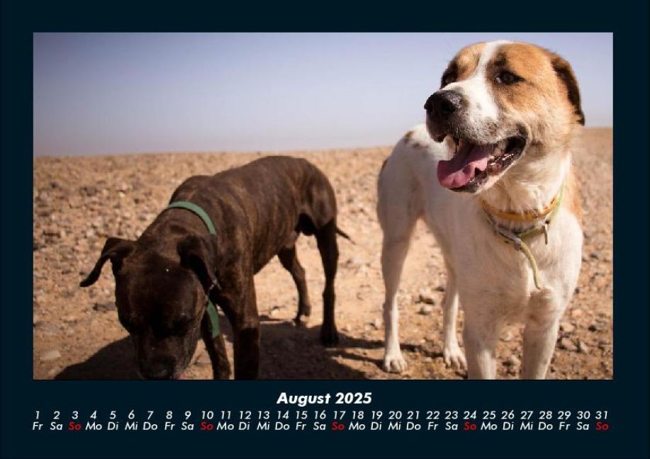 InsideView 12