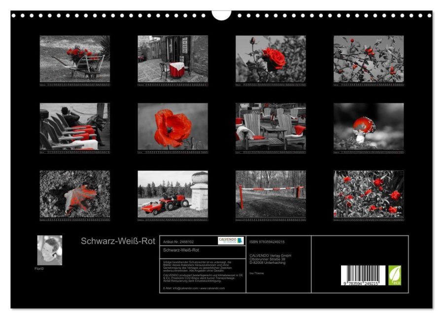 InsideView 5