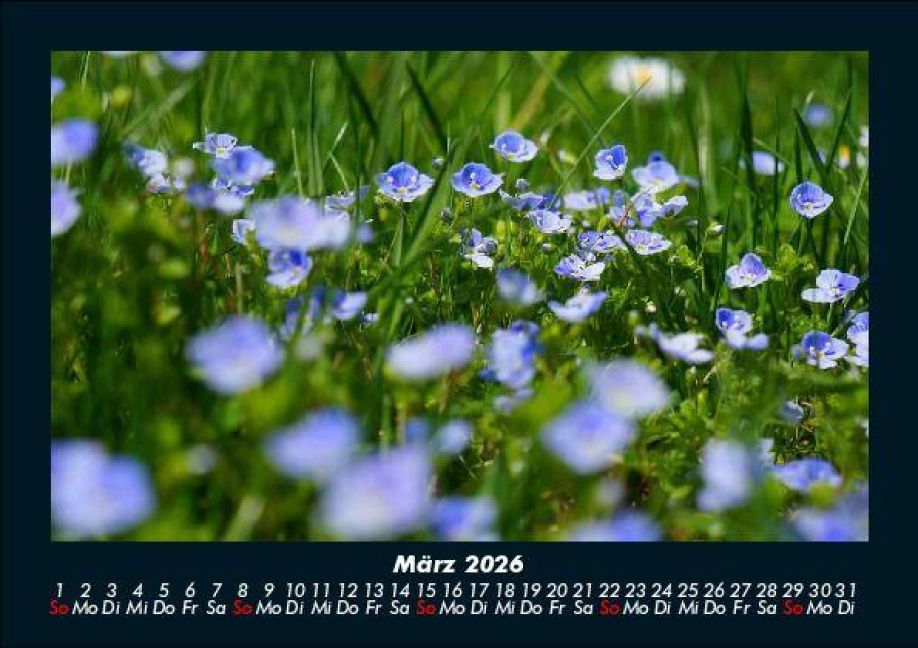 InsideView 7
