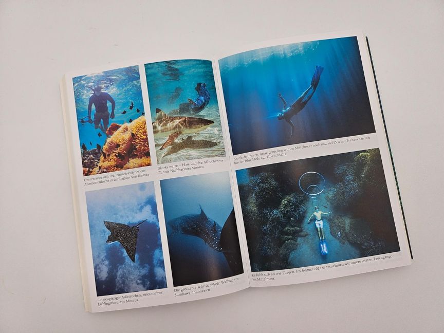 InsideView 10