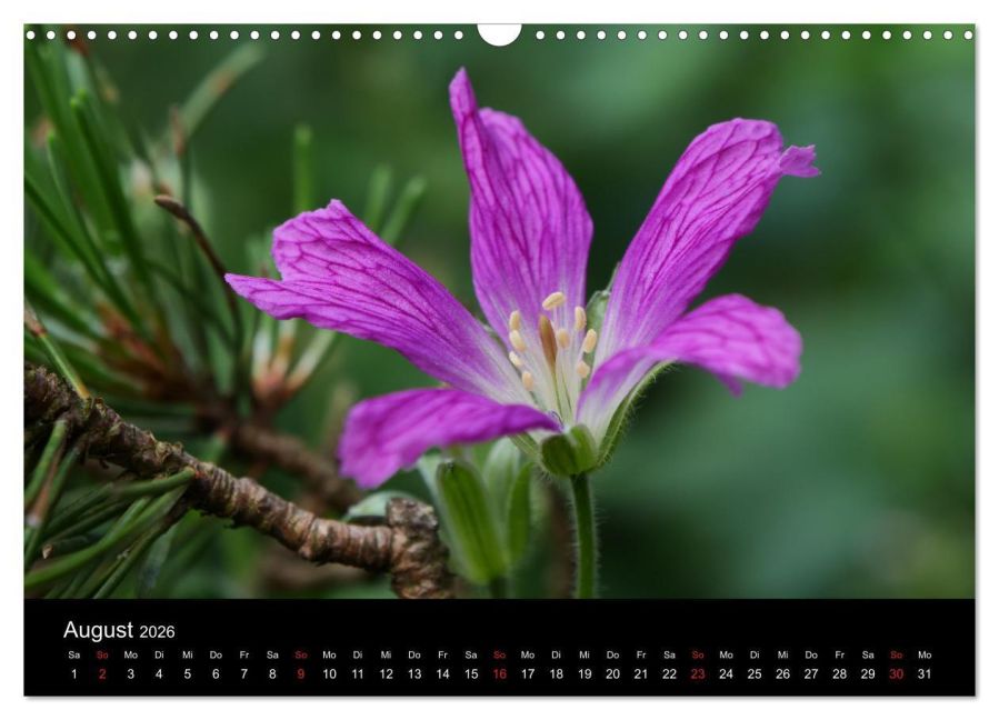 InsideView 13
