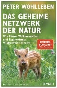 Cover-Bild zum Titel 'Das geheime Netzwerk der Natur' von 'Peter Wohlleben'