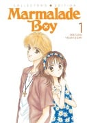 Cover-Bild zum Titel 'Marmalade Boy: Collector's Edition 1' von 'Wataru Yoshizumi'