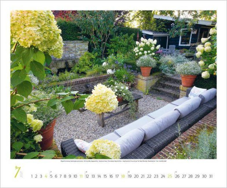 InsideView 7