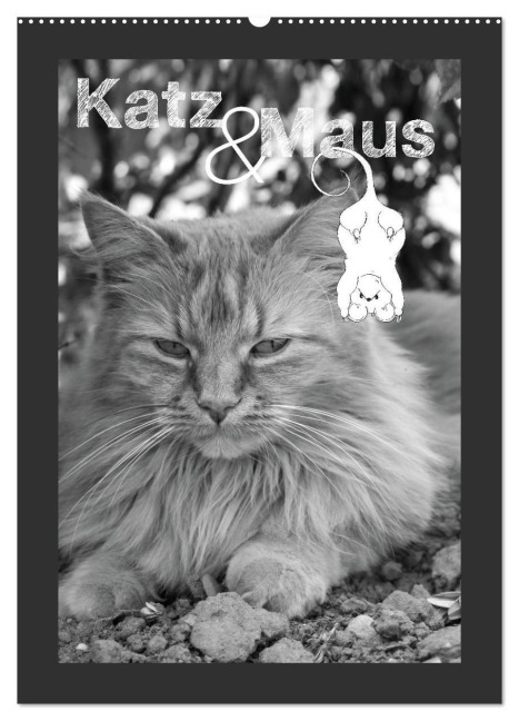 Katz & Maus (Wandkalender 2026 DIN A2 hoch), CALVENDO Monatskalender - Julia Schäfer