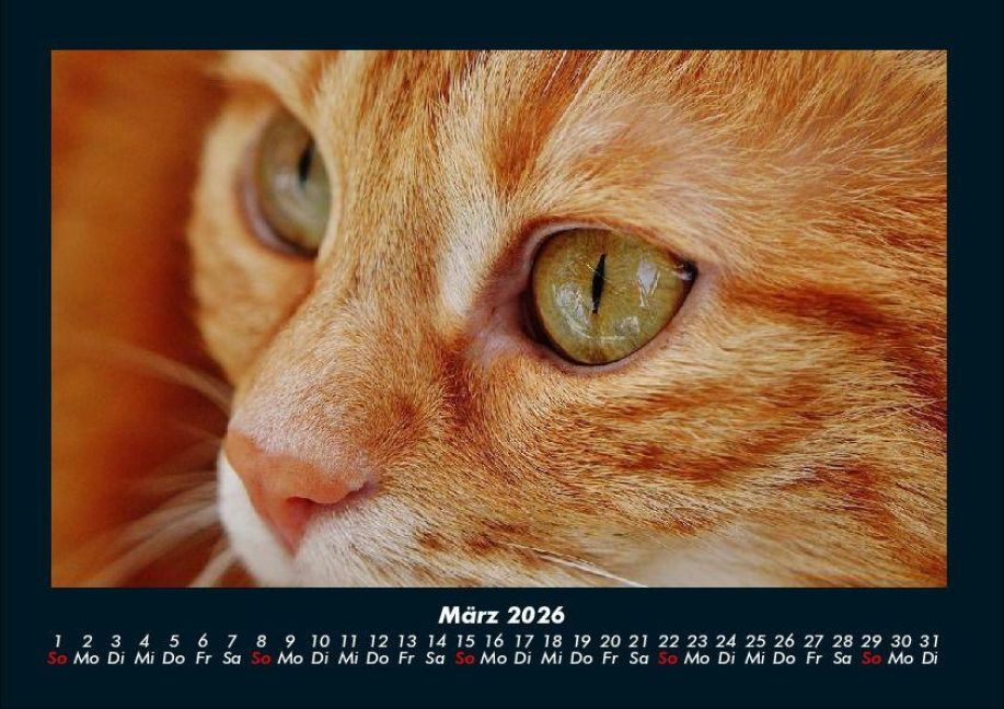 InsideView 7