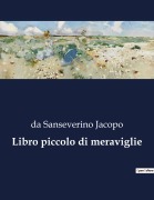 Cover-Bild zum Titel 'Libro piccolo di meraviglie' von 'Da Sanseverino Jacopo'