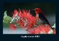 Vogelparadies 2024 Fotokalender DIN A4 - Tobias Becker