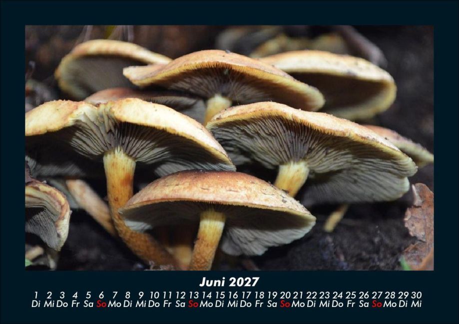 InsideView 10
