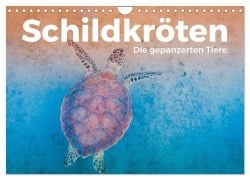 Cover-Bild zum Titel 'Schildkröten - Die gepanzerten Tiere. (Wandkalender 2027 DIN A4 quer), CALVENDO Monatskalender' von 'M. Scott'