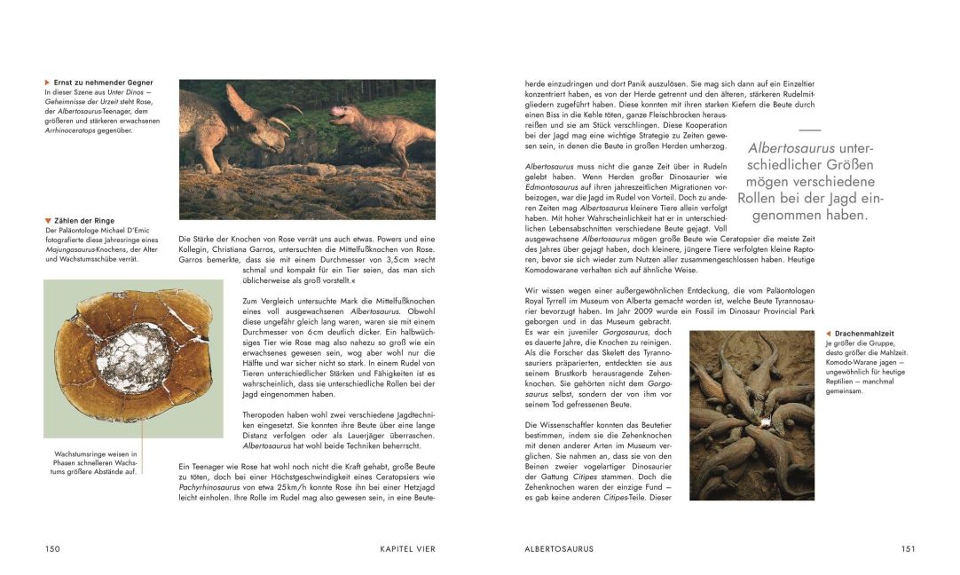 InsideView 6