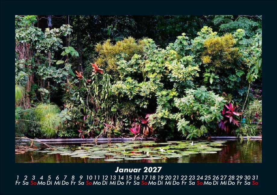 InsideView 5