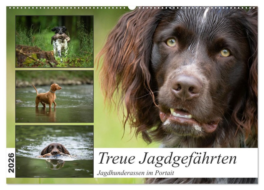 Treue Jagdgefährten - Jagdhunderassen im Portrait (Wandkalender 2026 DIN A2 quer), CALVENDO Monatskalender - Yvonne Streib