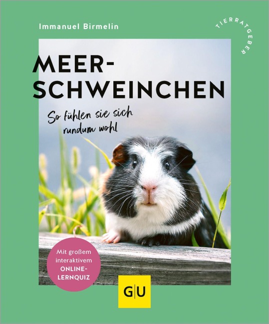Meerschweinchen - Immanuel Birmelin