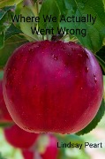 Cover-Bild zum Titel 'Where We Actually Went Wrong' von 'Lindsay Peart'