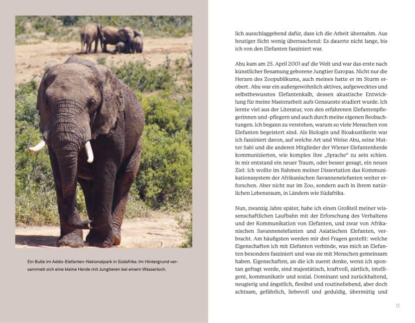 InsideView 11