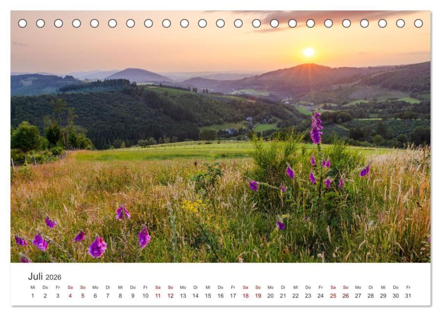 InsideView 12