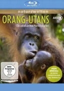 Cover-Bild zum Titel 'Orang-Utans - Die unbekannten Menschenaffen + Plus Special: 60 Jahre Expeditionen ins Tierreich' von ''
