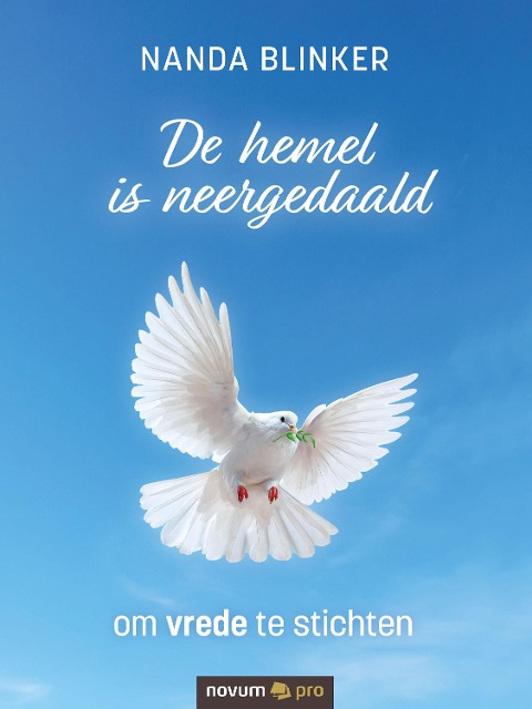 De hemel is neergedaald - Nanda Blinker