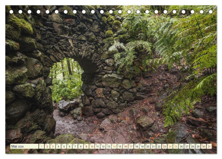InsideView 10