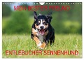 Mein bester Freund - Entlebucher Sennenhund (Wandkalender 2024 DIN A4 quer), CALVENDO Monatskalender - 