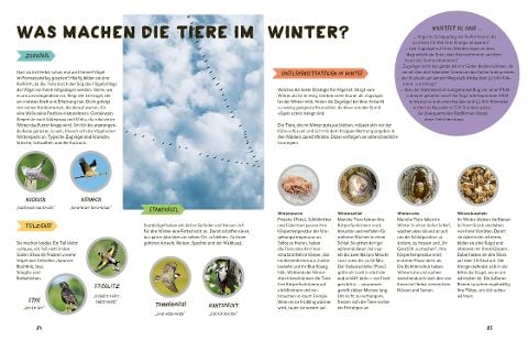 InsideView 11