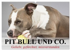 Cover-Bild zum Titel 'Pit Bull und Co. - Geliebt, gefürchtet, missverstanden (Wandkalender 2026 DIN A2 quer), CALVENDO Monatskalender' von 'Elisabeth Stanzer'