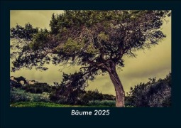 Cover-Bild zum Titel 'Bäume 2025 Fotokalender DIN A5' von 'Tobias Becker'