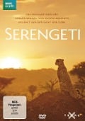 Serengeti - John Downer