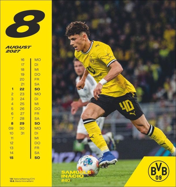 InsideView 8