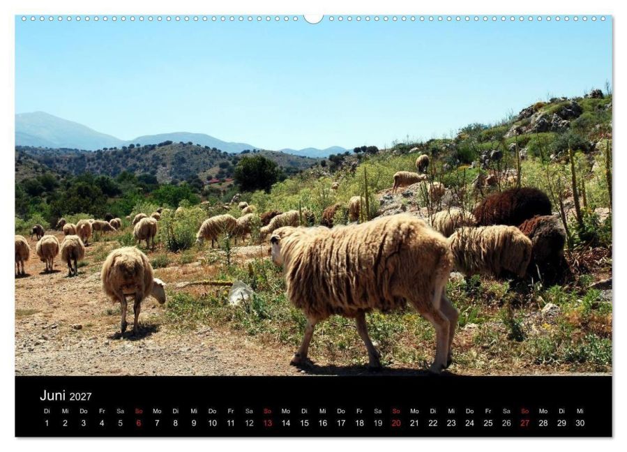 InsideView 10