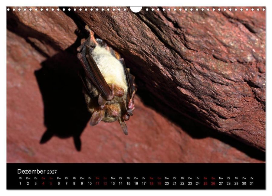 InsideView 4