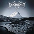 Cover-Bild zum Titel 'True North' von 'Borknagar'