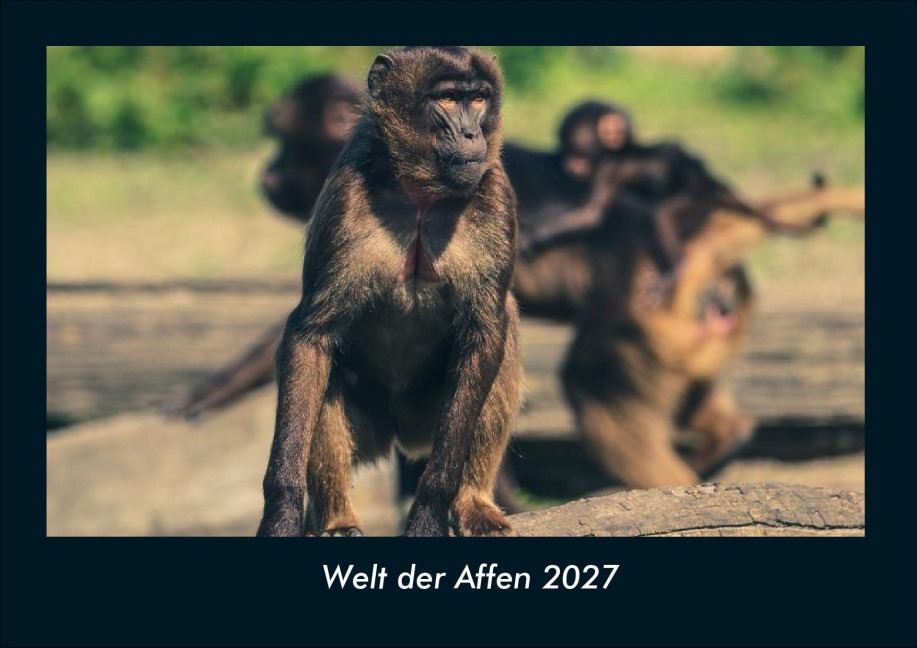 Welt der Affen 2027 Fotokalender DIN A4 - Tobias Schmitt, Kevin Heber