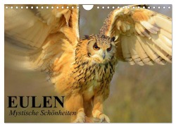 Cover-Bild zum Titel 'Eulen. Mystische Schönheiten (Wandkalender 2026 DIN A4 quer), CALVENDO Monatskalender' von 'Elisabeth Stanzer'
