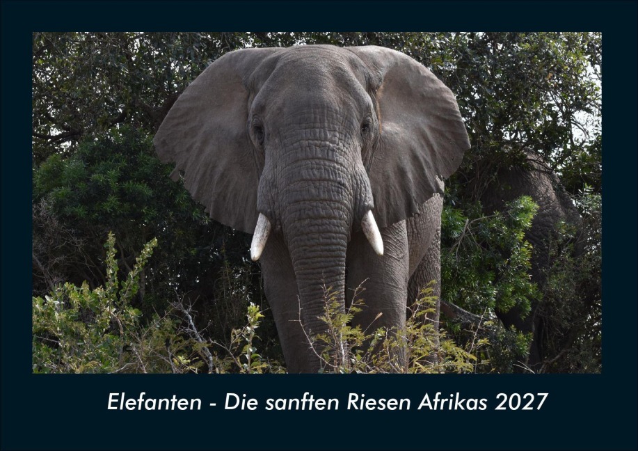 Elefanten - Die sanften Riesen Afrikas 2027 Fotokalender DIN A4 - Tobias Schmitt, Kevin Heber