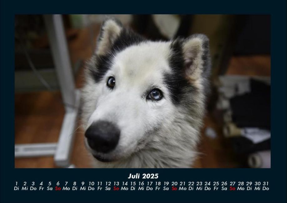 InsideView 11