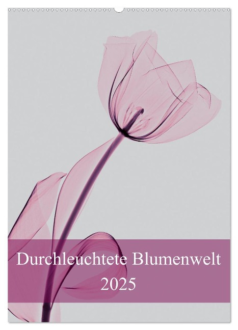 Durchleuchtete Blumenwelt 2025 (Wandkalender 2025 DIN A2 hoch), CALVENDO Monatskalender - Aleksandar Reba