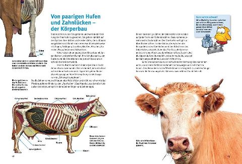 InsideView 3